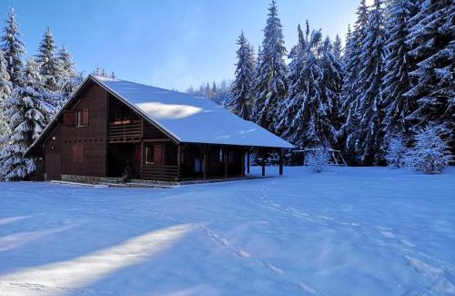 Toplita House | Casa de Vacanta Dintre Brazi