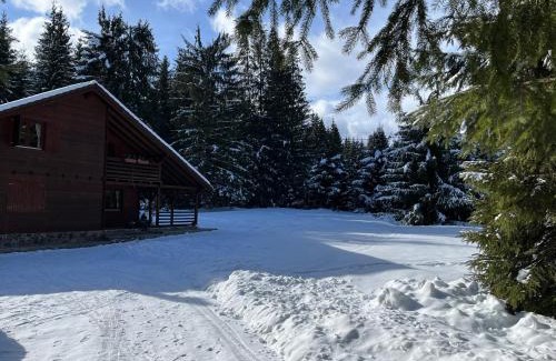 Toplita House | Casa de Vacanta Dintre Brazi