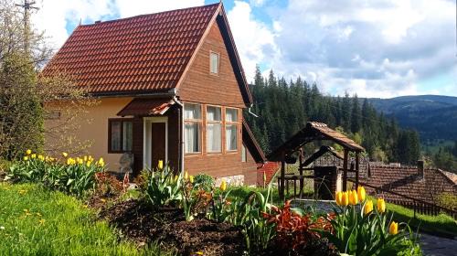 Borsec House | Casa de vacanta la Kerek