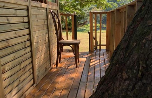 La Pena Villa | Casa del Árbol Colombia