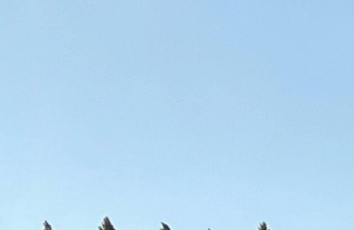 Neuquen House | Casa del Pinar - Daily Weekly or Monthly - The Best Location - Enclosed Garage