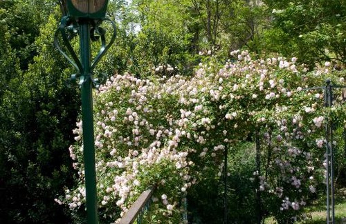 Montegiorgio House | Casa della Strega