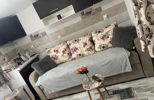 Salcia House | Casa Diamandi