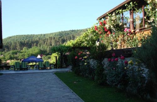 Saliste House | Casa din Vale