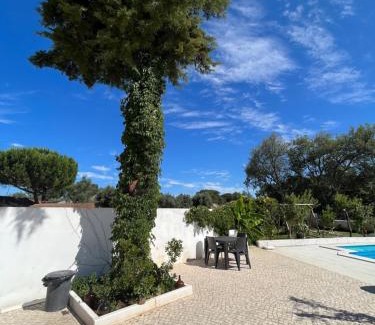 Rio Maior House | Casa do Cedro no Campo