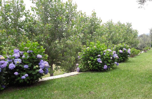 Portela House | Casa do Lagar