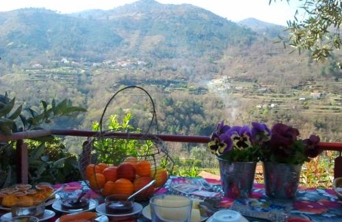 Cinfaes House | Casa do Moleiro