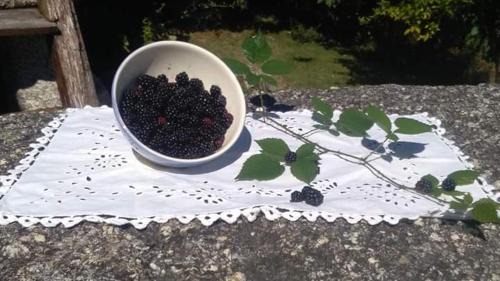 Tabuacas House | Casa do Pereiro