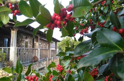 Arouca House | Casa do Pinto