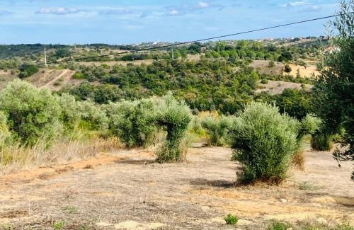 Pedrogao House | Casa Elo - Fresh-Built Home with Pool