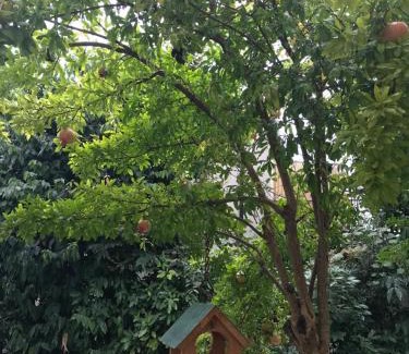 Montebelluna Apartment | CASA ELSA Charming Apartment