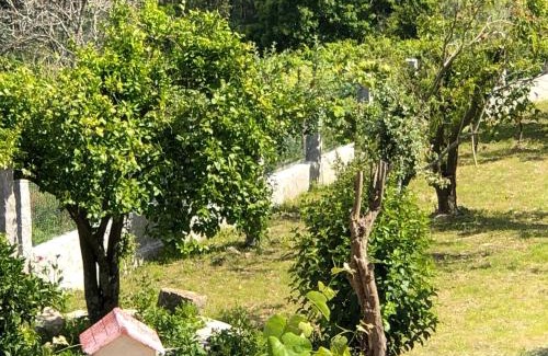 Tomino House | Casa Estrella