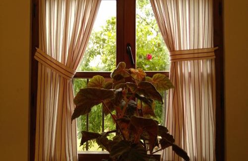 Lomena House | Casa Fidela