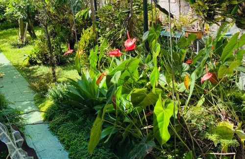 Florencia House | Casa Flory-El jardin secreto-