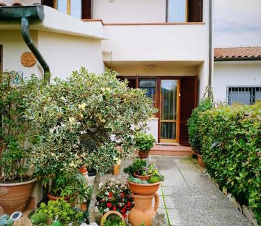 Avane Apartment | Casa Grazia