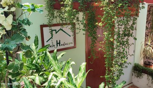 Palenque House | Casa Hadassa La Cañada