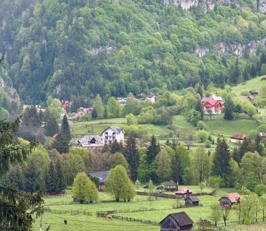 Dambovicioara House | Casa Ioana și Florin