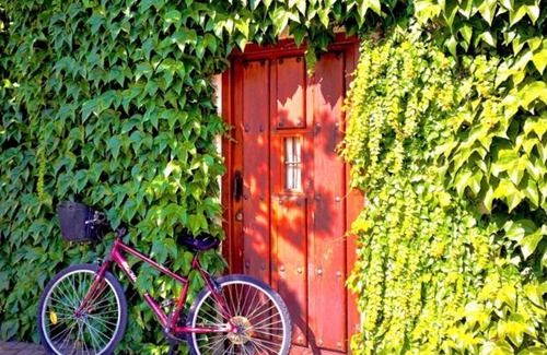 Coca House | Casa Jardín El Arco