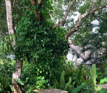 Vilanculos House | Casa Jardim