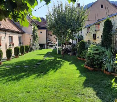 Rasnov House | Casa JOY