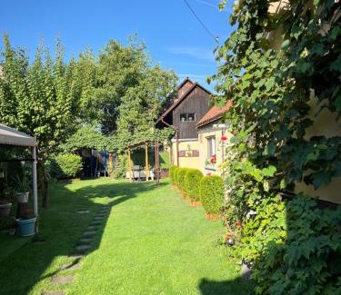 Rasnov House | Casa JOY