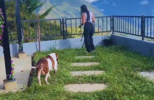 Macanal House | Casa la Colina