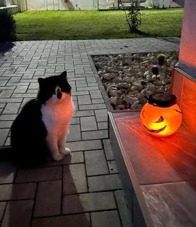 Brasov Villa | Casa Lucan Brașov