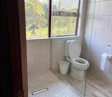 Gillitts House | Casa Madeira 2