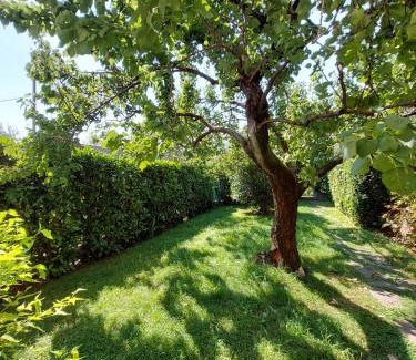 Gaino House | Casa Malina Ferienhaus im Grünen am Gardasee