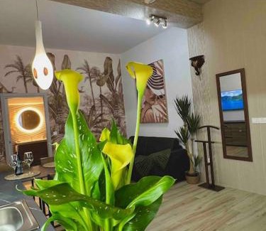 Aiora Apartment | Casa Maravillosa