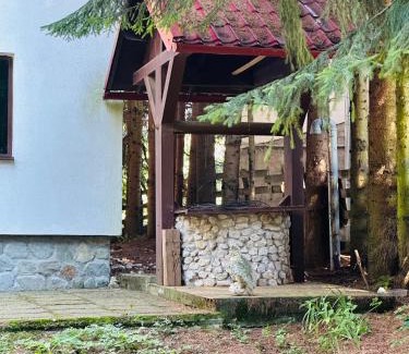 Dragoslavele Cabin | Casa Mario