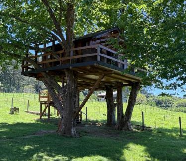 Restinga Ski Chalet | Casa na Árvore - Radosti Experiência