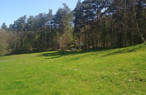 Gura Suhasului House | Casa Padurarului