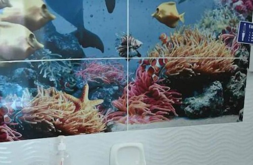 Cojimies House | Casa Palmera