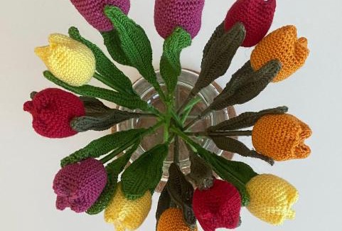 Sos del Rey Catolico Apartment | Casa Pilar