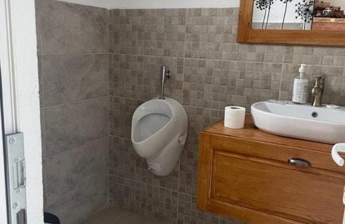 Vladeni House | Casa Piscul verde Vladeni