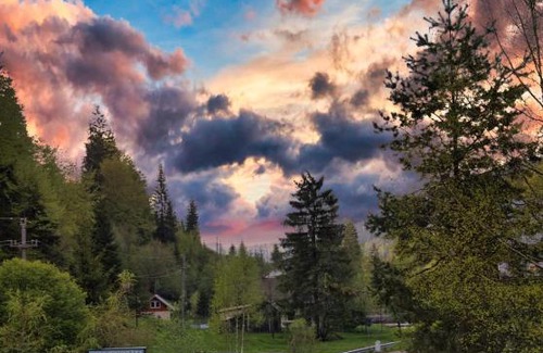 Pojorita House | Casa Pojorâta