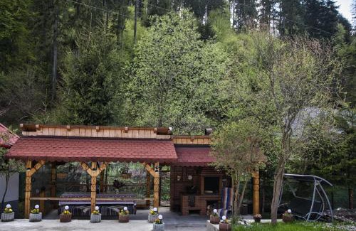 Pojorita House | Casa Pojorâta