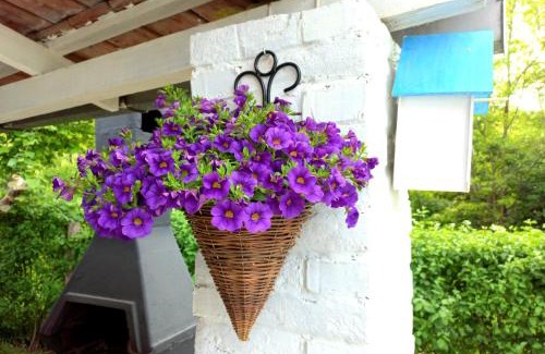 Cerevic Apartment | Casa Quattro stagioni Fruska gora