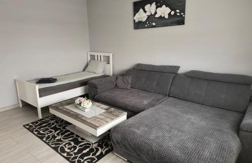 Satu Mare Apartment | Casa Relax