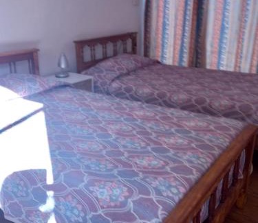 Vicuna House | Casa Rivera