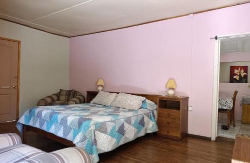 Vicuna House | Casa Rivera