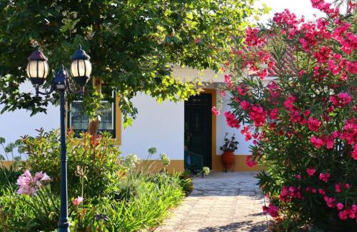 Salvaterra de Magos House | Casa Robusto