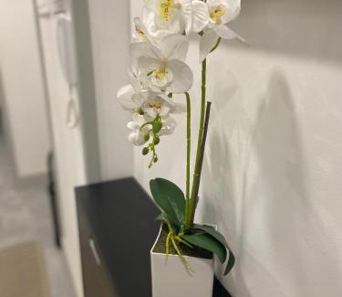 Pinhao Apartment | Casa Rocha