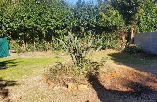 Real de San Carlos Apartment | Casa Rossa