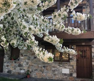 Fontoria House | Casa Rural Magdalena