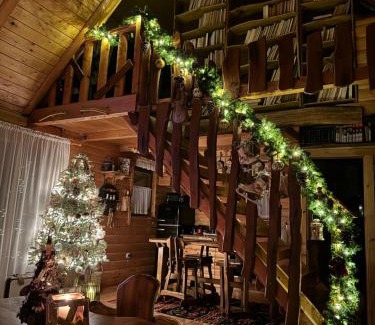 Vrsac Villa | Casa Rustic 1