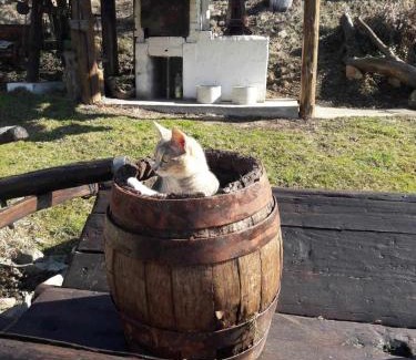 Fundu Moldovei House | Casa Rustik Bucovina