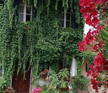 Palestrina Apartment | Casa San Biagio