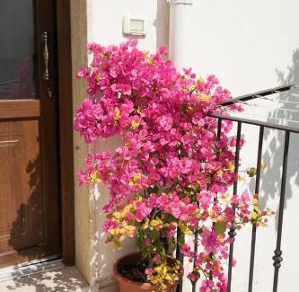 Centro Storico House | Casa San Cosimo